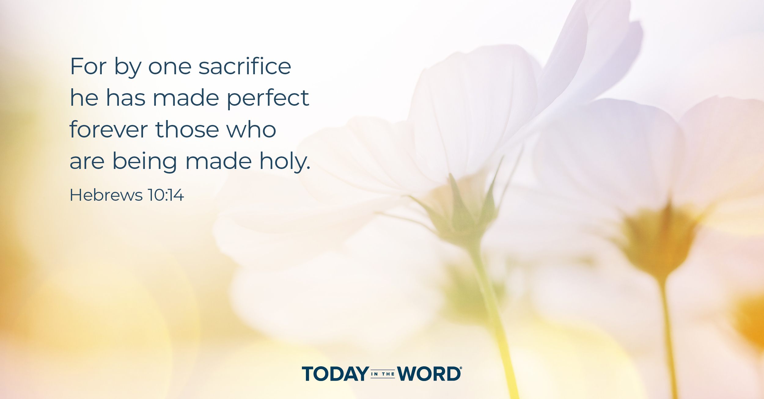 Daily Devotional Bible Verse | Hebrews 10:14 For by one sacrifice he has made perfect forever those who are being made holy.