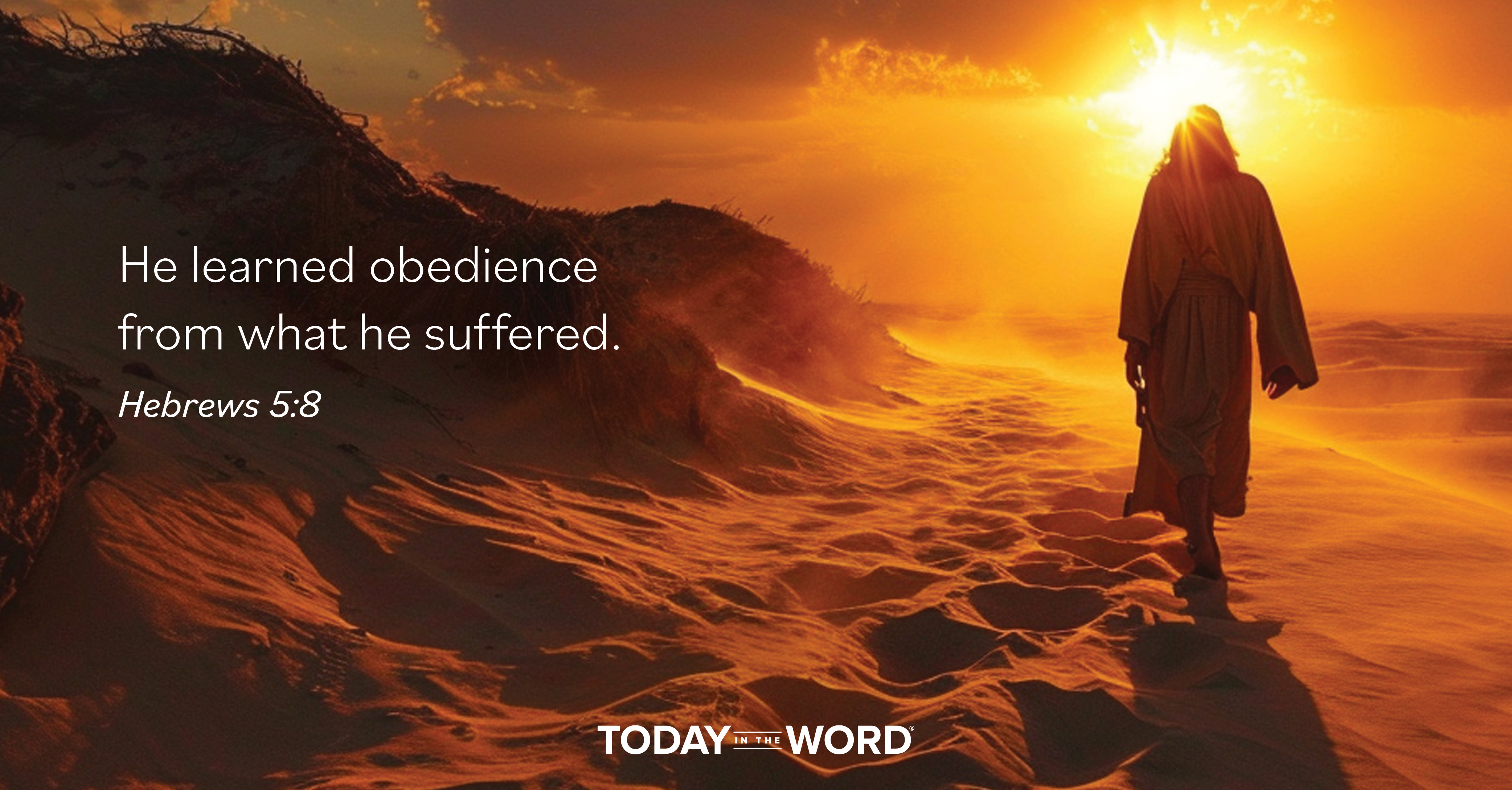 Daily Devotional Bible Verse | Hebrews 5:8 He learned obedience from what he suffered.