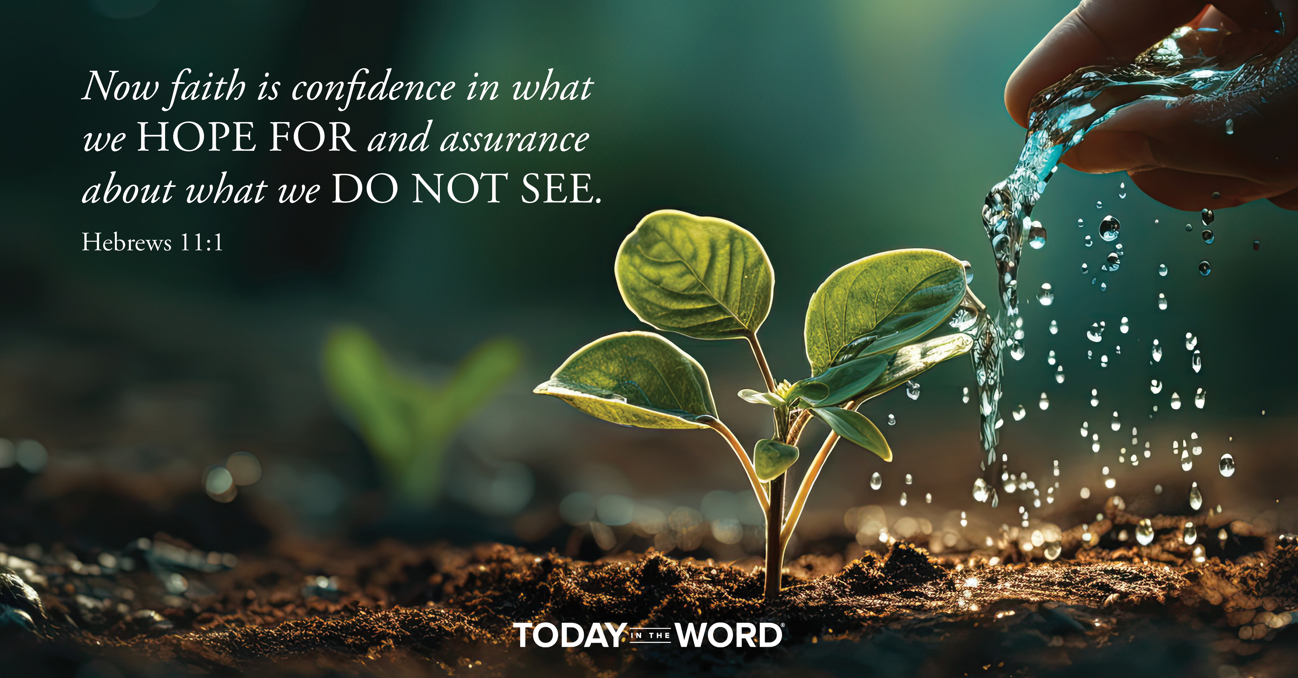 Daily Devotional Bible Verse | Hebrews 11:1 Now faith is confidence in what we hope for and assurance about what we do not see.