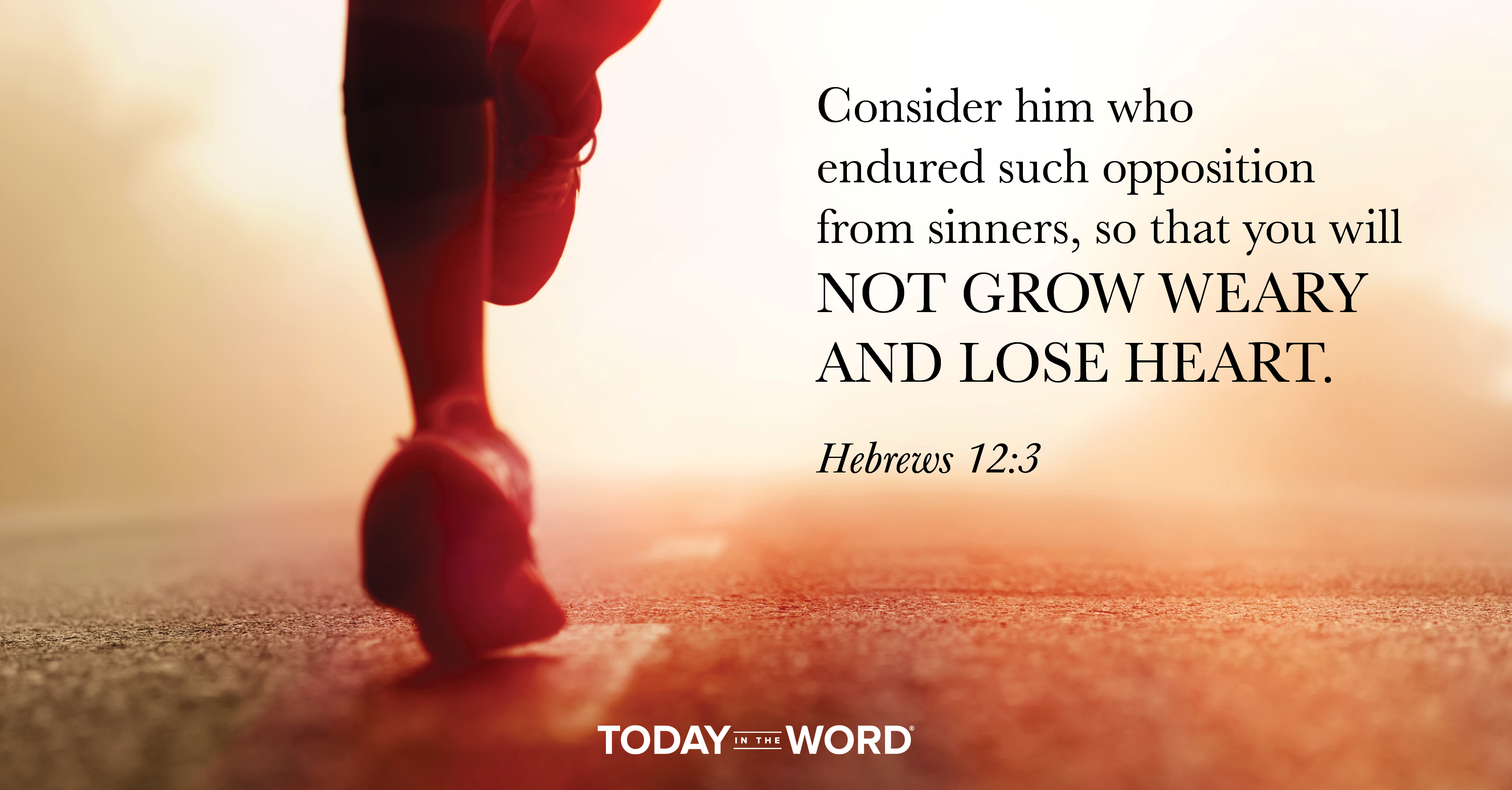 Daily Devotional Bible Verse | Hebrews 12:3 Consider him who endured such opposition from sinners, so that you will not grow weary and lose heart.