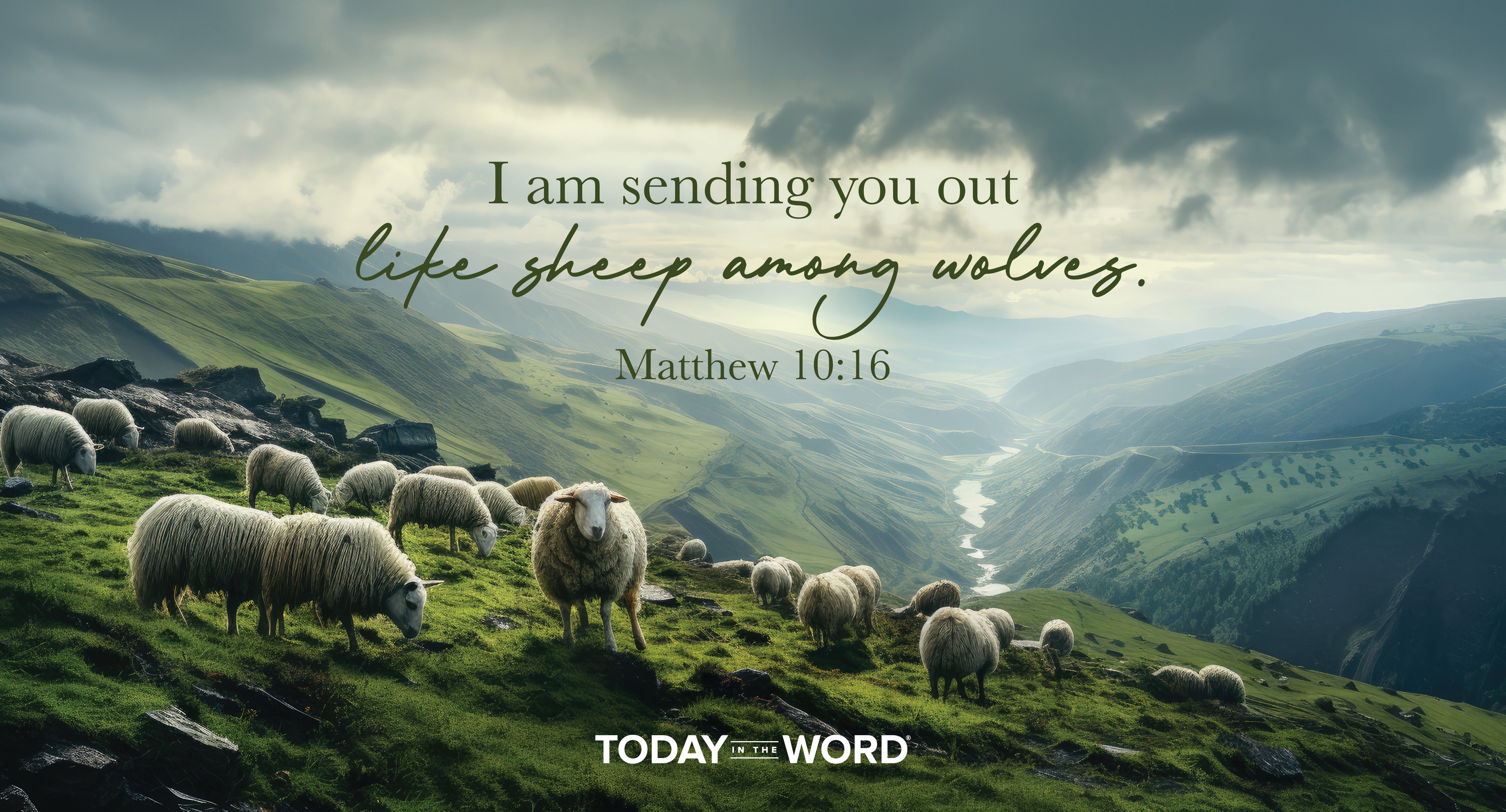 Daily Devotional Bible Verse | Matthew 10:16 I am sending you out like sheep among wolves.