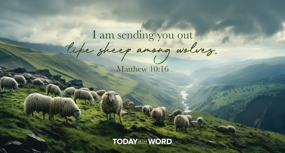 Daily Devotional Bible Verse | Matthew 10:16 I am sending you out like sheep among wolves.