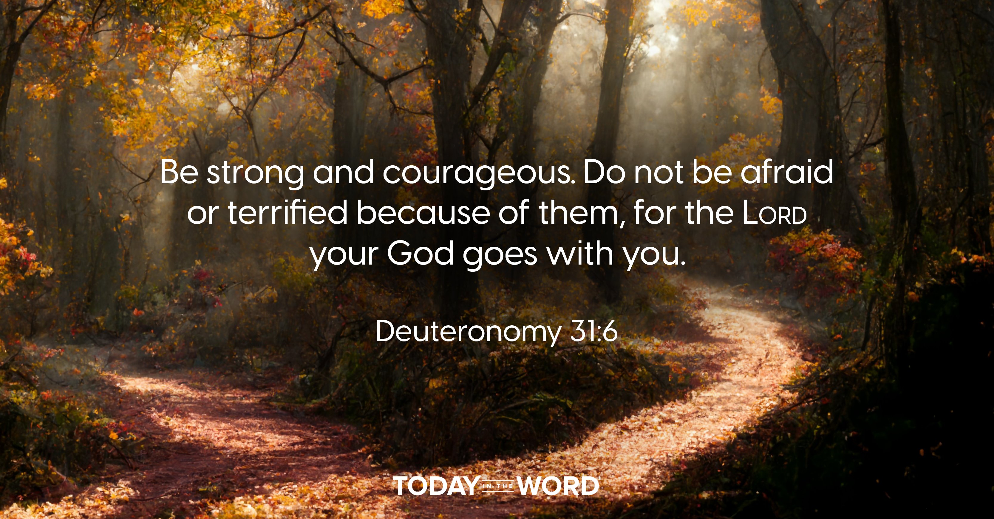 Today's daily devotional Bible verse: Deuteronomy 31:6 Be strong and courageous. Do not be afraid or terrified because of them, for the LORD your God goes with you. | Fork in a trail through the woods.