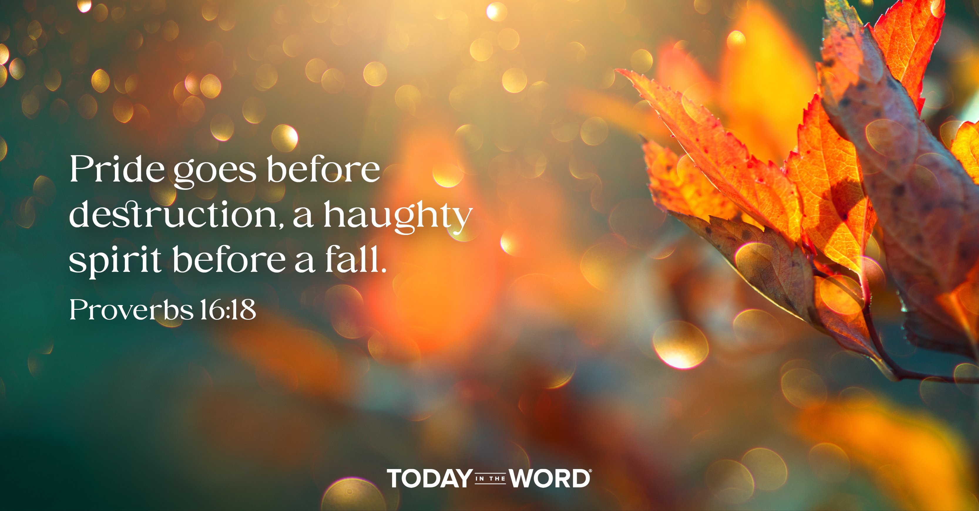 Today's daily devotional Proverbs 16:18 Pride goes before destruction, a haughty spirit before a fall. | Fall leaves in the sun.