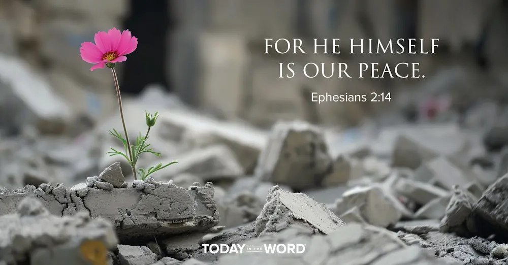 Daily devotional Bible verse: Ephesians 2:14 For he himself is our peace.